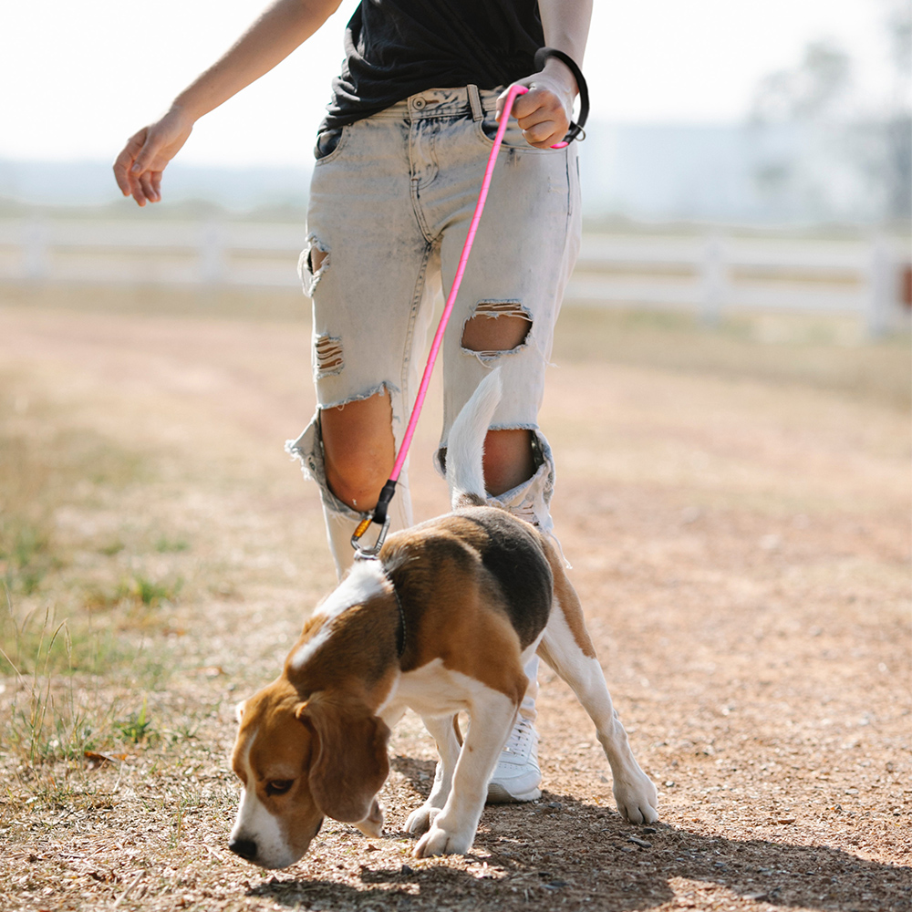 ak-9-carabiner-clip-lead-pink-lifestyle
