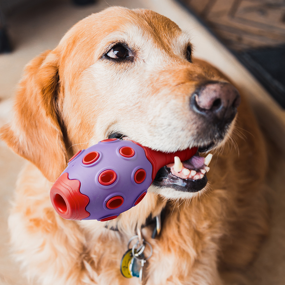 Duratoy Bowling Skittle Pin Dog Chew Toy Being Lovingly Chewed Duratoy Bowling Skittle Pin Dog Chew Toy Being Lovingly Chewed