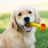 Keep Your Pet Happy with the Duratoy Treat Dispenser Dog Chew Toy