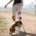 AK-9 Carabiner Clip Dog Lead - Image 3
