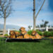 AK-9 High Raised Dog Bed | Breathable Mesh Elevated Dog Bed - image 8