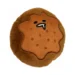 DuraToy Cookie Soft Squeaky Dog Toy, brown, two tone, detail view 2