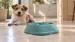 Hungry Henry Bone Maze Slow Feeder Dog Bowl - Image 2