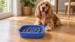 Hungry Henry Maze Slow Feeder Dog Bowl - Image 3