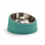 Hungry Henry Slanted Dog Bowl