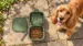 Hungry Henry 2-in-1 Folding Travel Bowl - Image 4